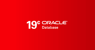 SWAP size Adding While installing a Oracle Database 19c on Oracle Linux,SWAP size Adding,installing a Oracle Database 19c,Oracle Linux,Oracle,Linux