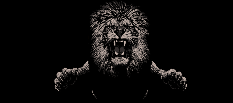 Lion Attack Lion Attack,Lion ,Attack