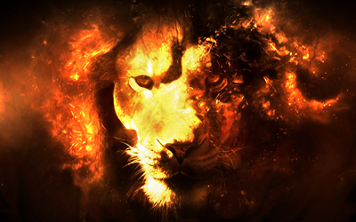 Burning Lion Face Burning Lion Face,Burning Lion, Face,Burning ,Lion Face,Burning ,Lion, Face