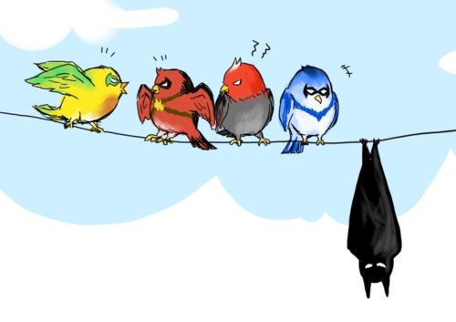 batman birds Batman As Angry Birds,Batman,Angry Birds,Knight wing,robbin,bat,batman,batman comic,batman funny,funny,comic,dc comic,