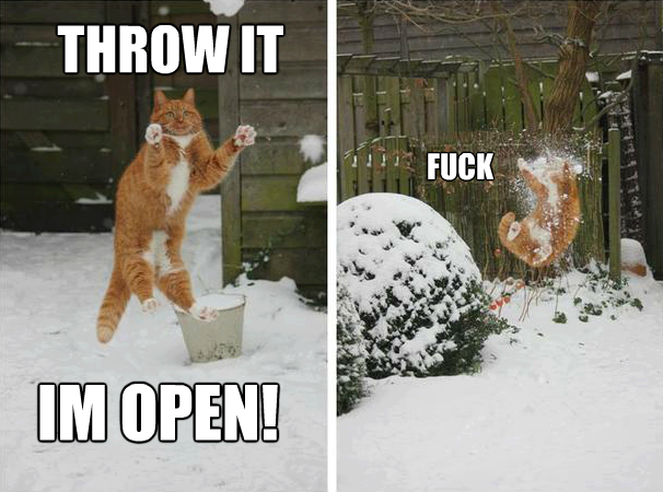 Cat Meme,Cat ,Meme,Funny,I am open,Snow day,snow, Cat Meme,Cat ,Meme,Funny,I am open,Snow day,snow,