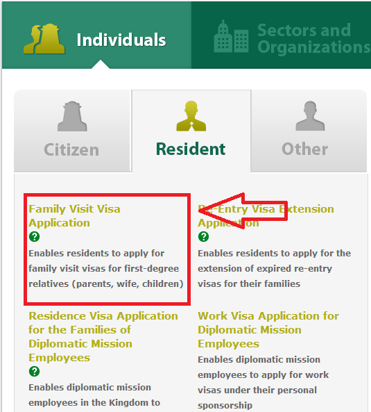 visa profession 3 Apply for Family Visit Visa Online in Saudi Arabia , Family Visit Visa Online in Saudi Arabia,Apply for Family Visit Visa Online