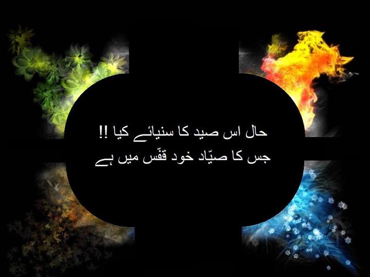 Jaun Elia (9) "Jaun Elia,Jon Elia,poetry,poet,urdu,shayari,aliya,Jhon aliya, john