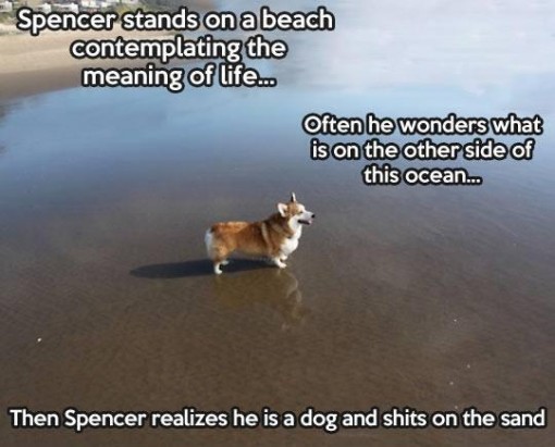  Than Spencer Realizes,Funny Comic,comic