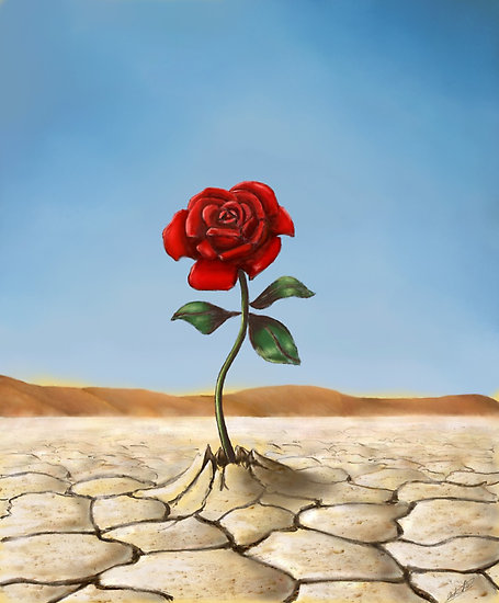 Reidi Gul - Lyrics and Translation,pashto song,Reidi Gul pashto song,Reidi Gul Lyrics,Reidi Gul Lyrics Translation,,Reidi Gul Translation,Ghani Khan,